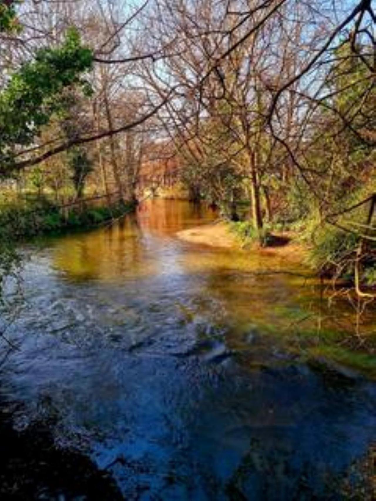 Jackdaw Cottage-Beautiful Cottage, Town Centre ويمبورن مينستر المظهر الخارجي الصورة
